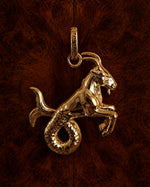 ASTRA CAPRICORN JEWEL