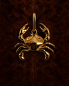 ASTRA CANCER JEWEL